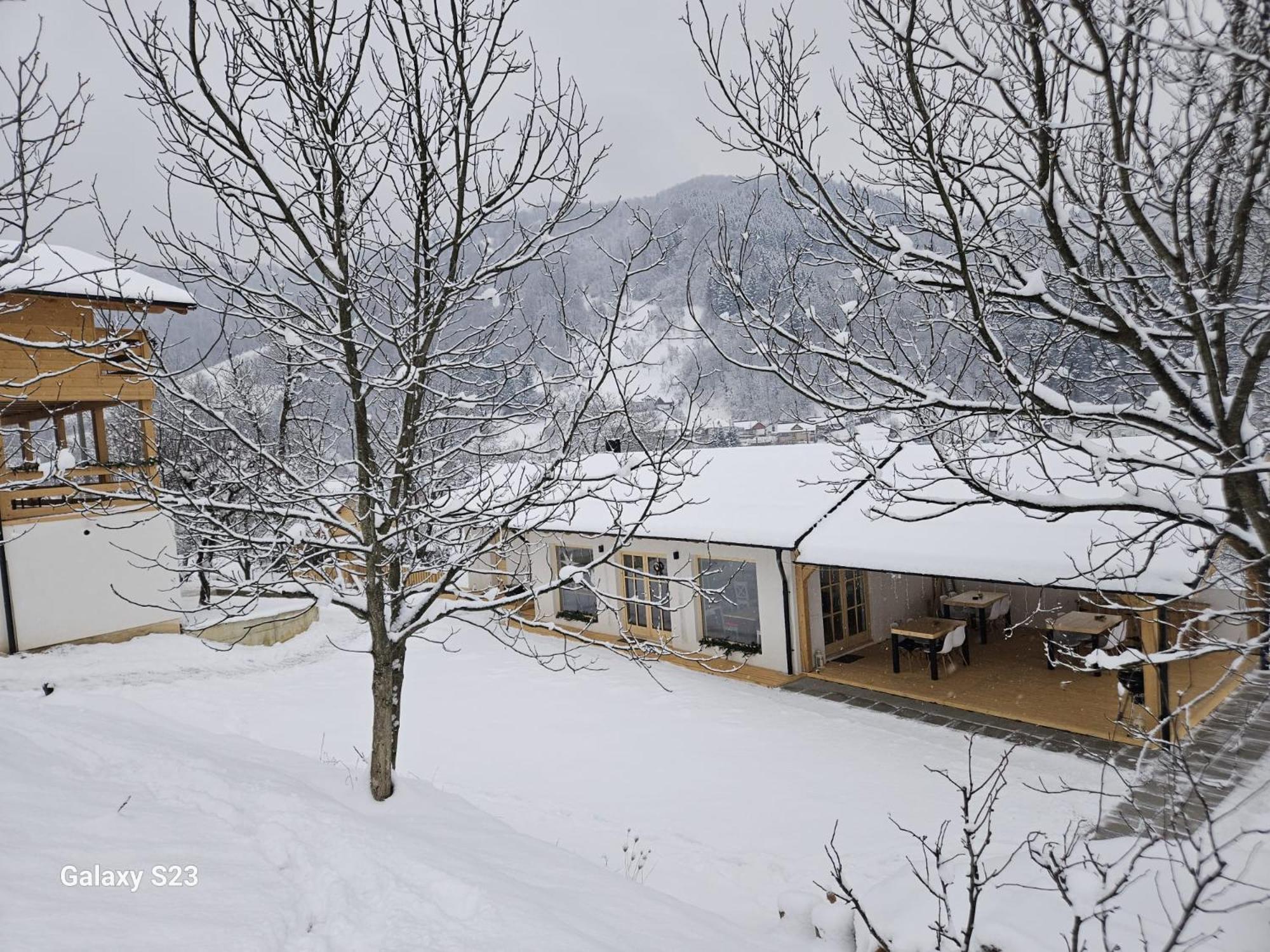 Готель Casa Mara Вишово-Вижнє Екстер'єр фото