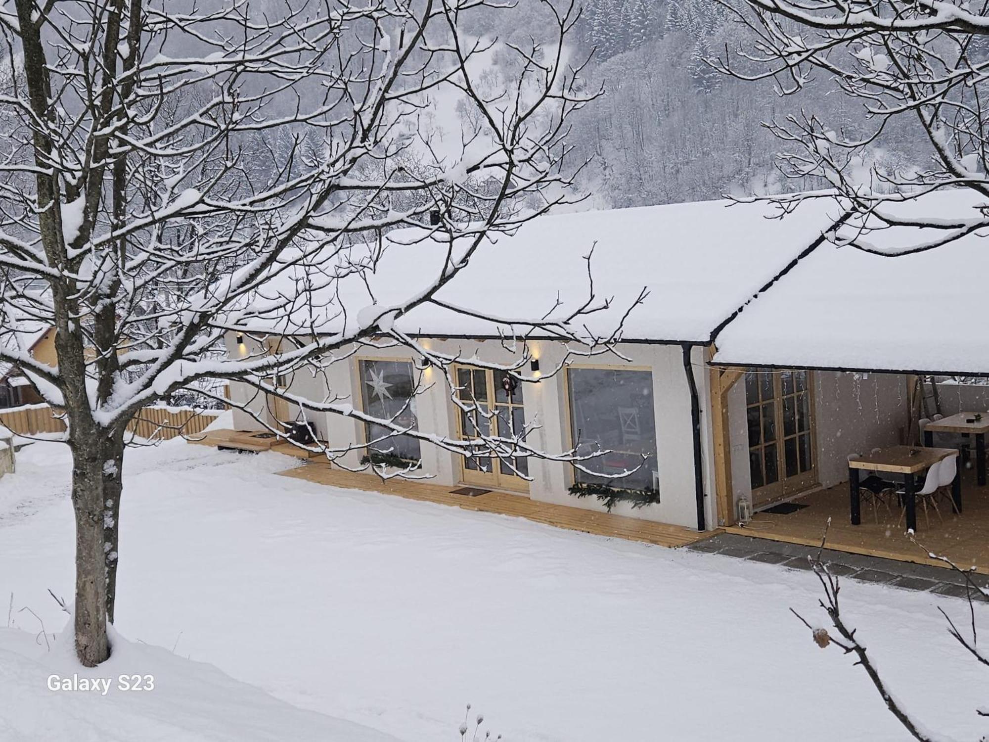 Готель Casa Mara Вишово-Вижнє Екстер'єр фото