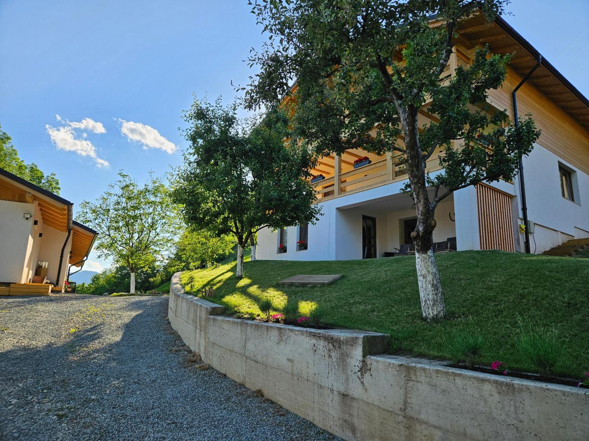 Готель Casa Mara Вишово-Вижнє Екстер'єр фото